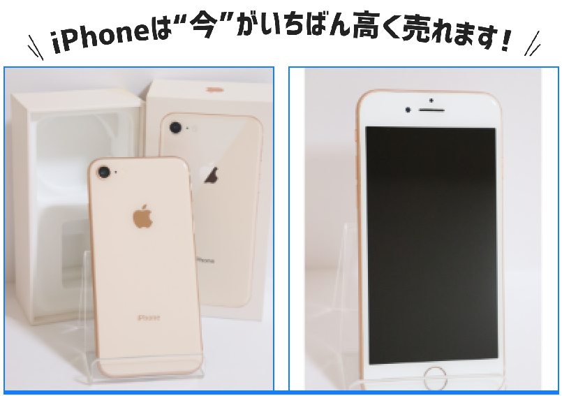 iPhoneの写真